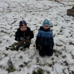 phoca_thumb_m_snh a zajci 35 Fotogalerie